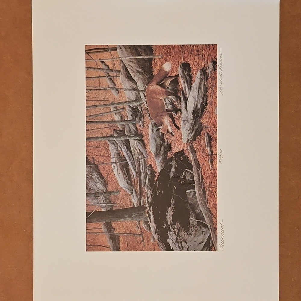 Autumn Forest Fox Art Print By Gerald H Lubeck